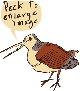 Peck to Enlage Images